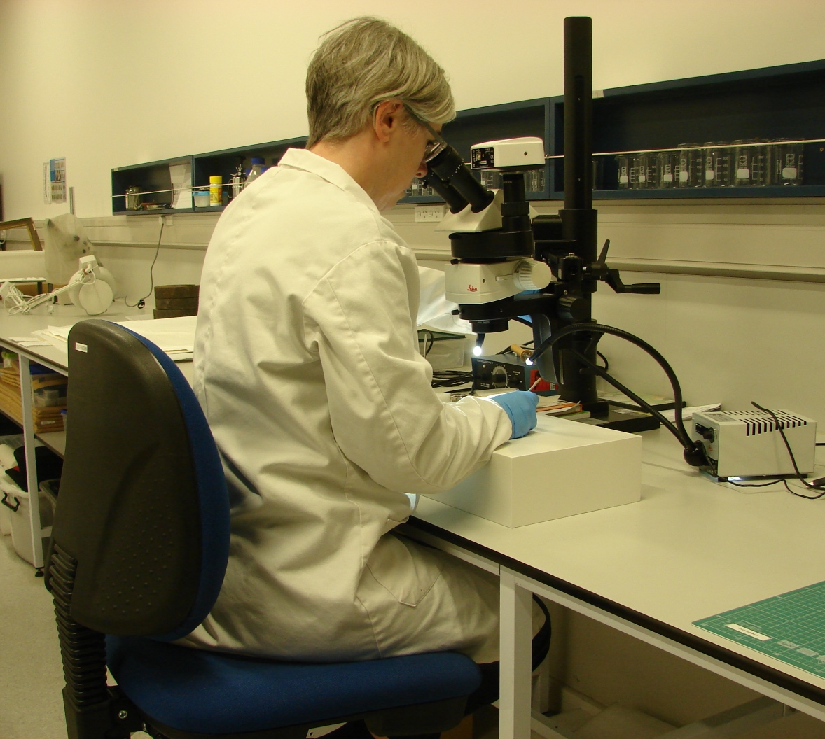 Using the microscope